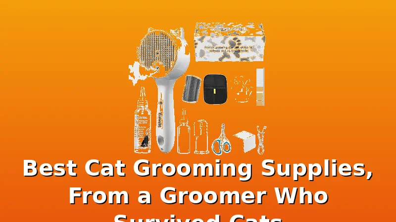 Best Cat Grooming Supplies, From a Groomer Who Survived Cats - GroomCrest review with measurements and honest opinion