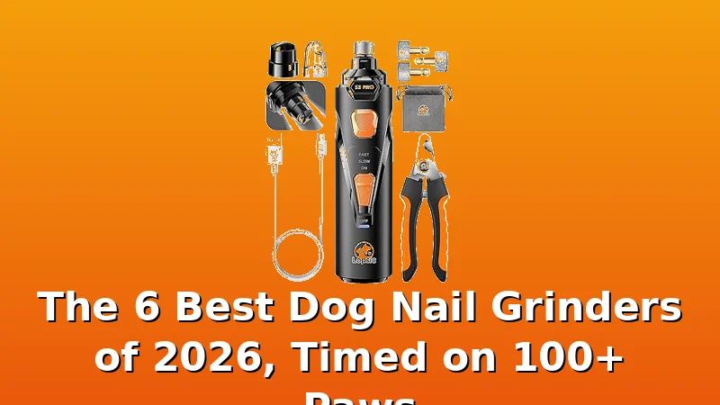 The 6 Best Dog Nail Grinders of 2026, Timed on 100+ Paws - GroomCrest review with measurements and honest opinion
