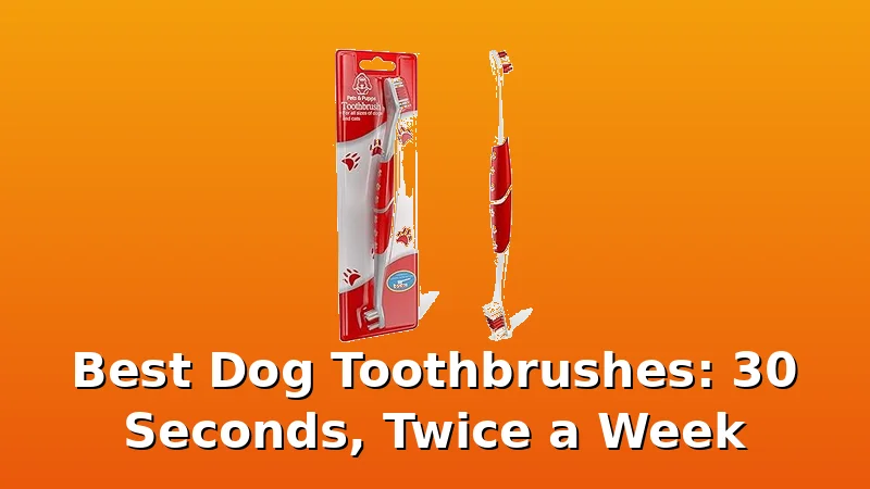 Best Dog Toothbrushes: 30 Seconds, Twice a Week - GroomCrest review with measurements and honest opinion