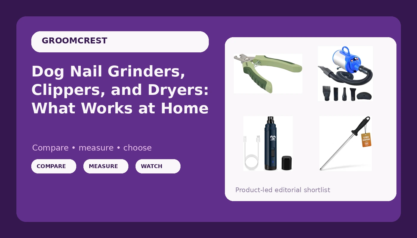 Dog Nail Grinders, Clippers, and Dryers: What Works at Home
