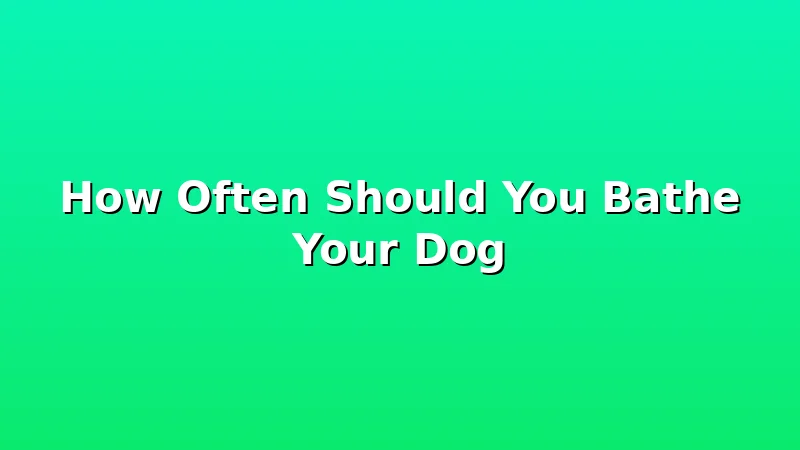 How Often Should You Bathe Your Dog - GroomCrest review with measurements and honest opinion
