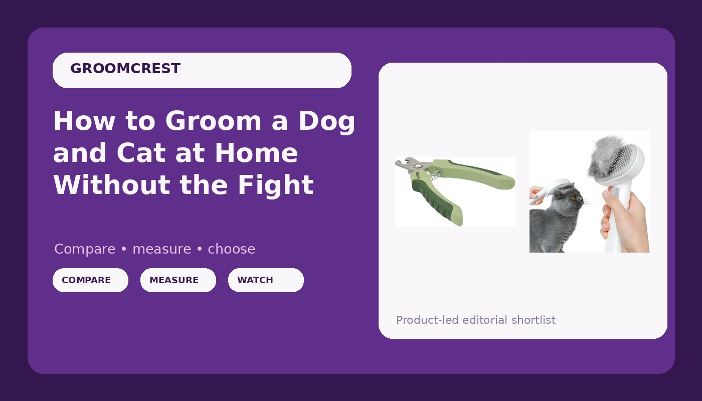 How to Groom a Dog and Cat at Home Without the Fight
