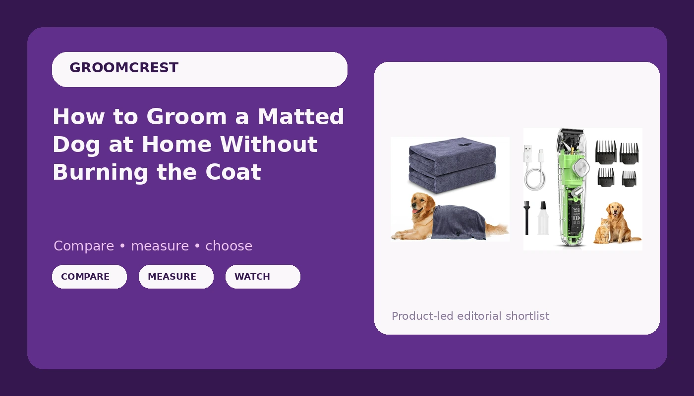 How to Groom a Matted Dog at Home Without Burning the Coat