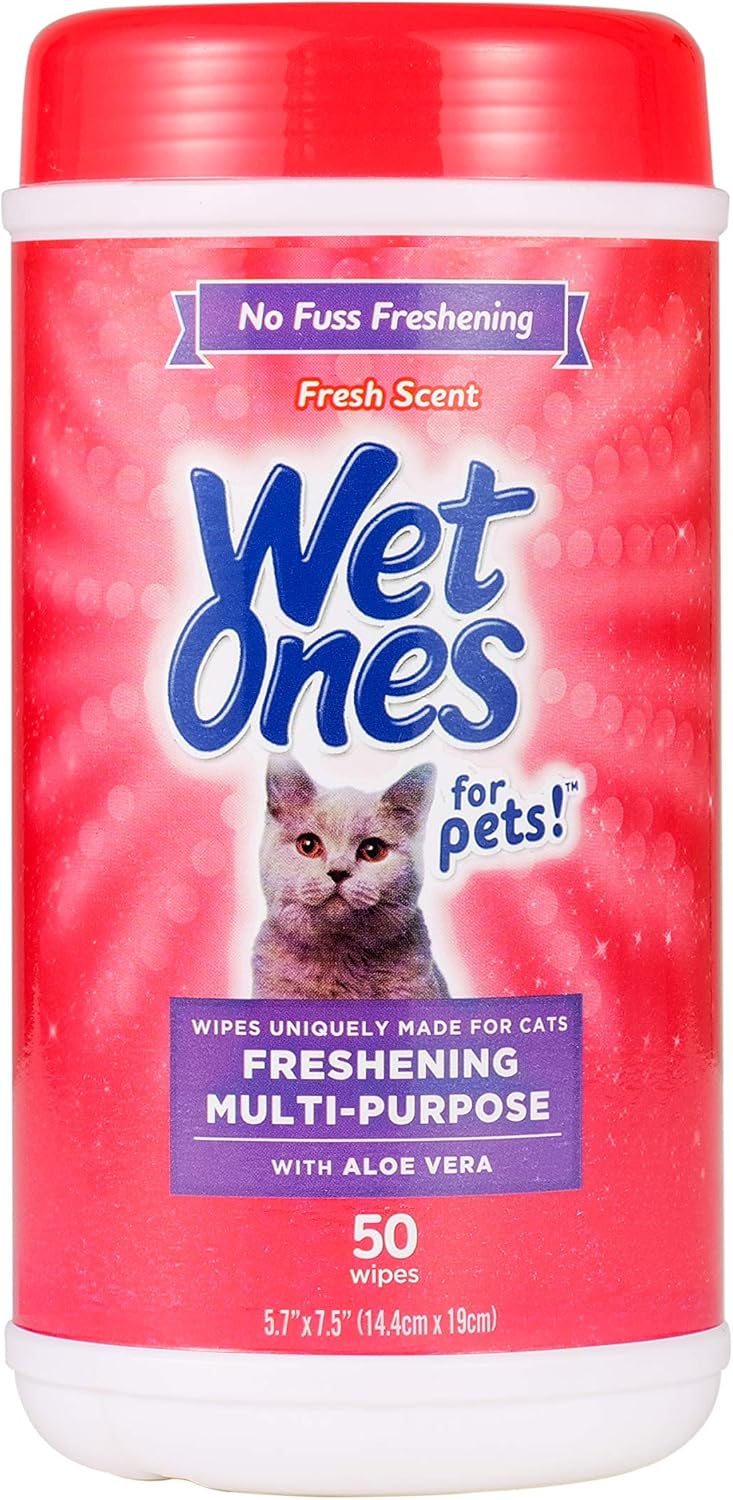 Wet Ones Cat Wipes (B08GV53MF2)